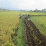 LBH SPP Siap Garap Aduan Petani Soal Kisruh Pupuk Bersubsidi di Garut