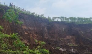 Longsor di Sirnajaya Pasirwangi, 2 Hektare Sawah dan Ladang Rusak Parah