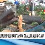 Pohon Berusia Puluhan Tahun di Ciamis Ditebang