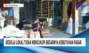 Kedelai Lokal Tidak Mencukupi Kebutuhan Pasar