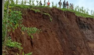 Begini Kondisi Sawah di Sirnajaya Pasca Diterjang Longsor