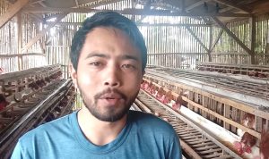 Peternak Ayam Petelur Kewalahan Harga Pakan Naik