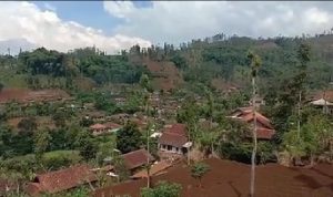 Kaki Gunung Cikuray Tampak Gundul, Ditanami Sayuran