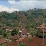 Kaki Gunung Cikuray Tampak Gundul, Ditanami Sayuran