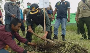 Peringati HUT ke-60, Perhutani Garut Tanam dan Bagikan Bibit Pohon