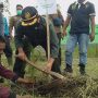 Peringati HUT ke-60, Perhutani Garut Tanam dan Bagikan Bibit Pohon