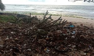 Pantai Selatan Garut Perlu Fasilitas Bak Sampah