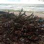 Pantai Selatan Garut Perlu Fasilitas Bak Sampah