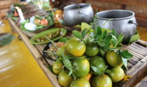 Jeruk Garut Diwacanakan Dikembangkan di Garsel