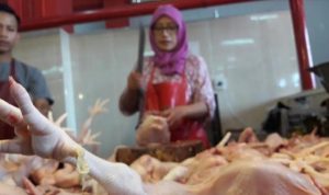 Jelang Ramadan, Harga Ayam Potong Tembus Rp40 Ribu Per Kilo