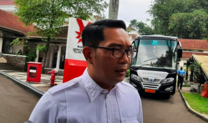 Ridwan Kamil Sebut Ketupat Opor Ayam akan Sempurna Jika Dipadukan dengan Hidangan Ini, Berani Coba?