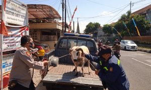 Uang Yadi yang Ditabung dari Hasil Berjualan untuk Kurban Dimakan Rayap