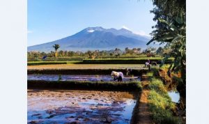 Penyaluran Konversi LPG untuk Nelayan dan Petani Dibagi Dua Kategori