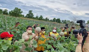 Menko Airlangga Apresiasi Terobosan Pemda Kalsel, Bantu Isoman Covid-19 dengan Hasil Panen Petani