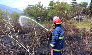 Kebakaran Lahan Melanda Desa Keresek