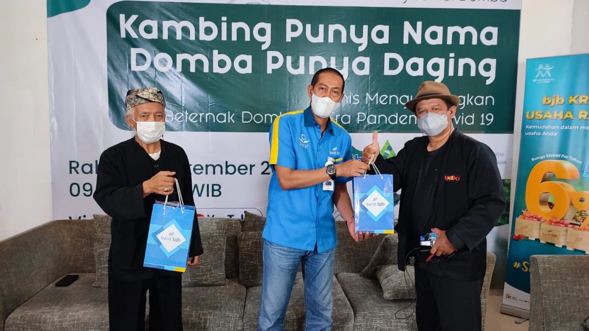 Bank bjb Dukung Kesejahteraan Peternak Domba Garut lewat Akses KUR Kemitraan