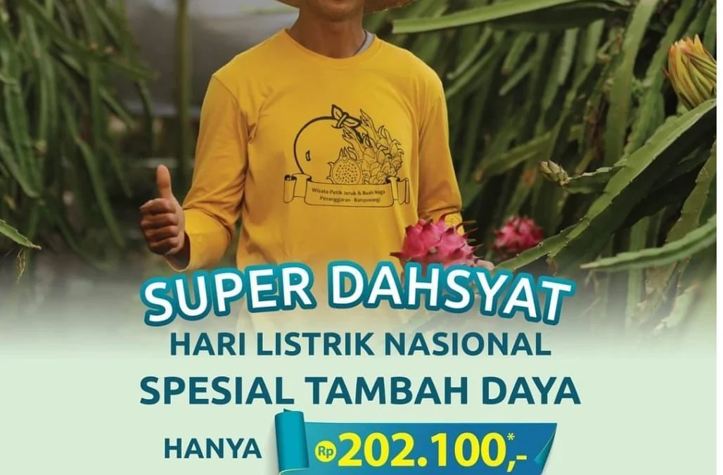 PLN Luncurkan Promo Super Dahsyat di HLN ke-76