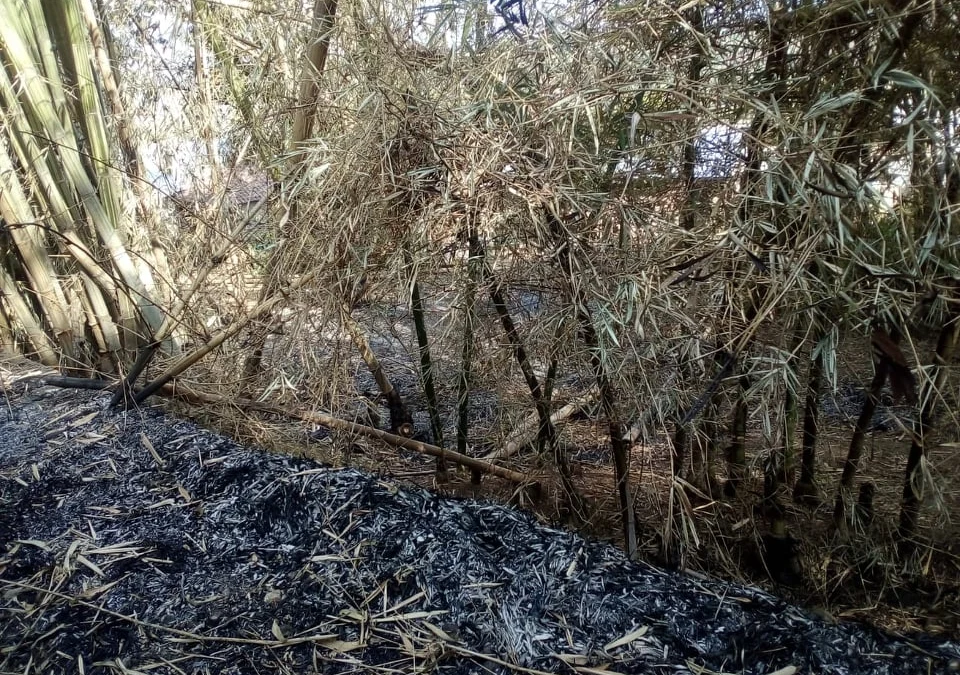 Kebun Bambu Karahkal di Desa Dungusiku Terbakar, Nyaris Merembet ke Pemukiman