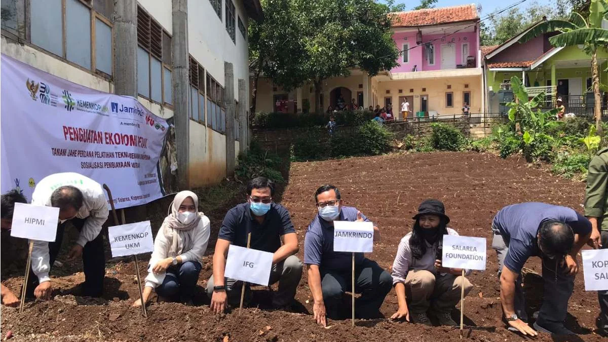 PT Jamkrindo Kembangkan Budidaya Jahe di Desa Keresek Garut