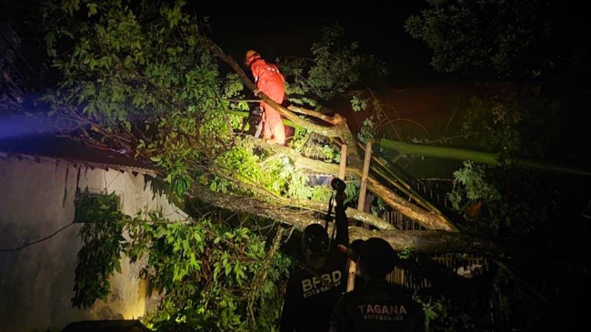 Hujan Deras Disertai Angin Kencang, Menyebabkan Pohon Tumbang Menimpa Rumah Warga Di Kota Banjar