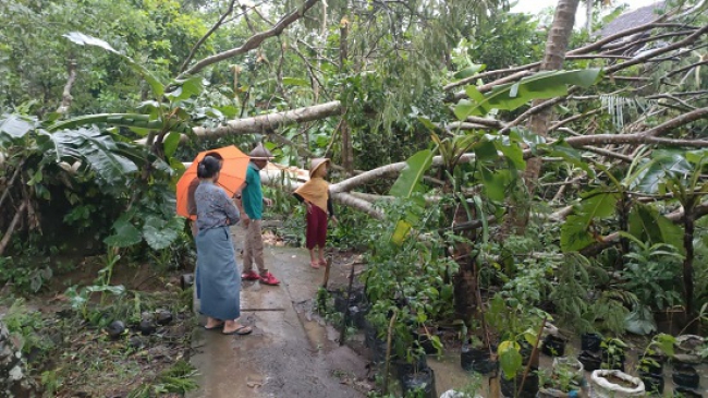 Angin Puting Beliung Merusak 29 Rumah di Ciamis