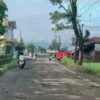 Jalan Masih Buruk Dan Tak Kunjung Diperbaiki, Sejumlah Mahasiswa di Cianjur Tanam Pohon Sebagai Bentuk Protes