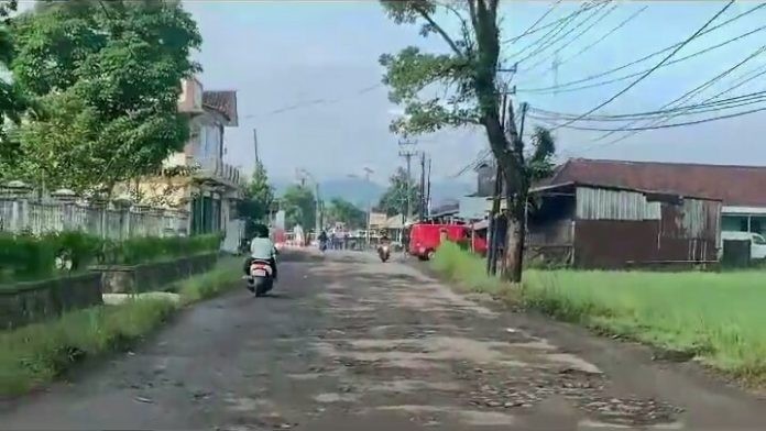 Jalan Masih Buruk Dan Tak Kunjung Diperbaiki, Sejumlah Mahasiswa di Cianjur Tanam Pohon Sebagai Bentuk Protes