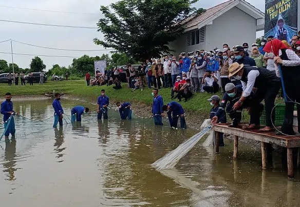 Ridwan Kamil Panen Ikan dan Udang saat Kunjungi RPS di SMKN 1 Mundu