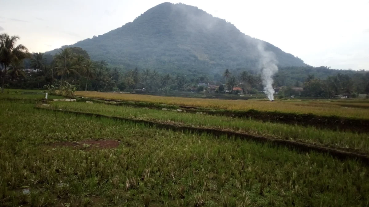 Misteri Gunung Haruman, Serangan Babi Hutan dan Kera Dipercaya Suruhan Makhluk Gaib