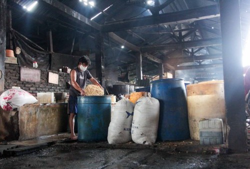 Harga Kedelai Mahal, Perajin Culas Bikin Tempe Campur Bubur Kertas dan Kardus