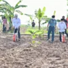 Gubernur Ridwan Kamil Temani Wapres Tinjau Lokasi Program Integrated Farming di Purwakarta