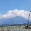 BKSDA Tunggu Hasil Evaluasi Soal Wacana TWA Gunung Guntur