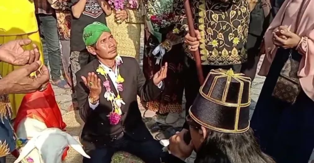 Seorang Pria di Gresik Nikahi Kambing