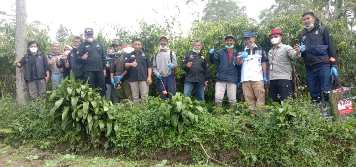 Penghapusan Honorer, Petugas POPT Harus Dipertahankan Untuk Jaga Stabilitas Pangan Nasional