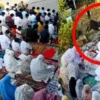 Viral Sapi Ngamuk Terobos Shaf Jemaah Salat Idul Adha