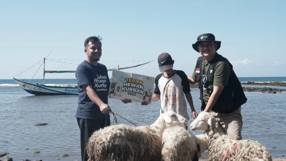 Dompet Dhuafa Distribusikan 29.000 Ekor Hewan Kurban ke Wilayah 3T