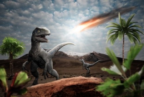 Kecoa versus Dinosaurus, Mana yang Lebih Kuat Saat Menghadapi Benda Langit ?