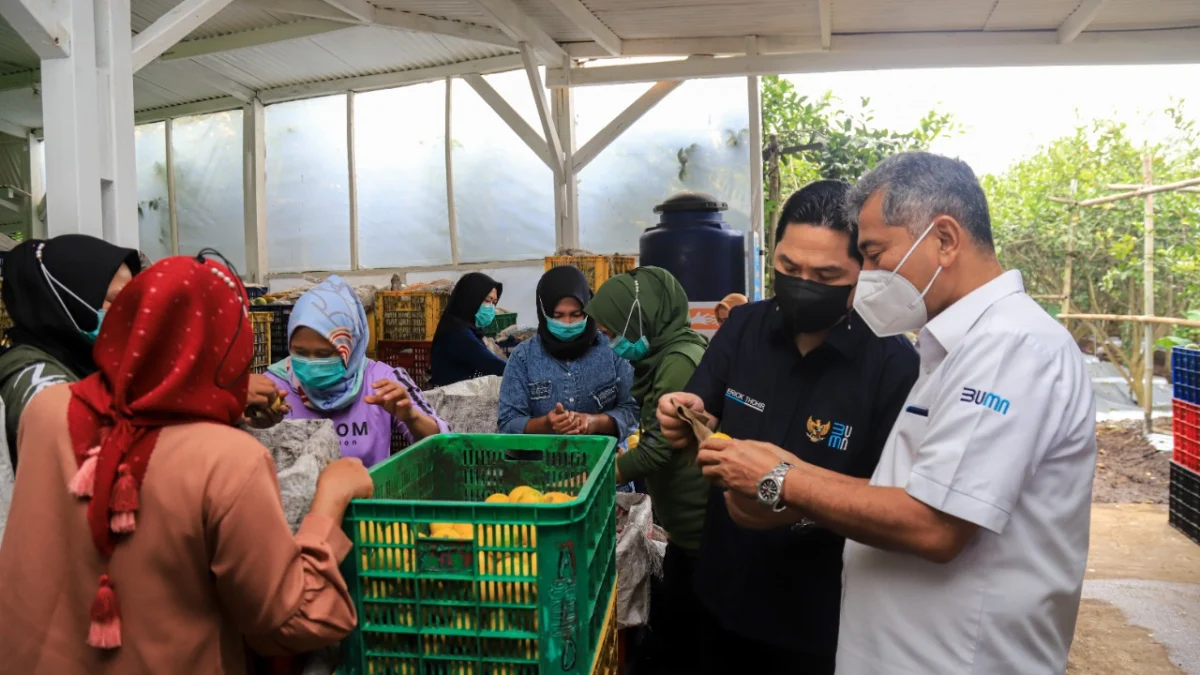 Fondasi Ekonomi Kerakyatan, Holding Ultra Mikro Tingkatkan Kesejahteraan Masyarakat