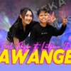 Lagi Yang Lagi Trending! Lirik Lagu Sawangen – Farel Prayoga feat Lutfiana Dewi