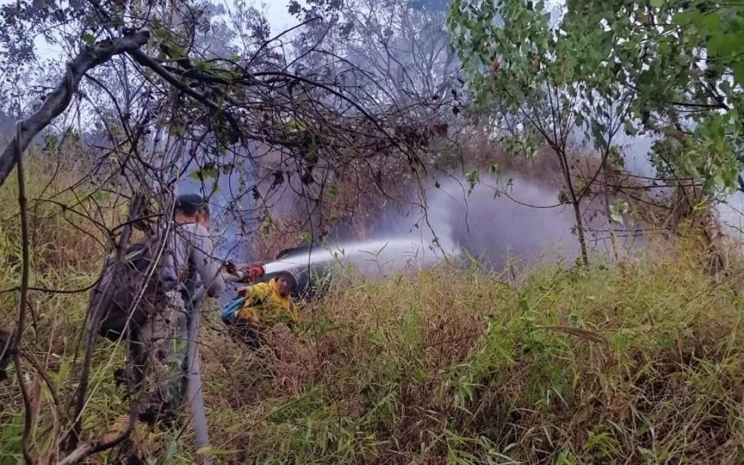 Update Kebakaran Gunung Ciremai Api Berhasil Dipadamkan Luas Area yang Terbakar Masih Didata