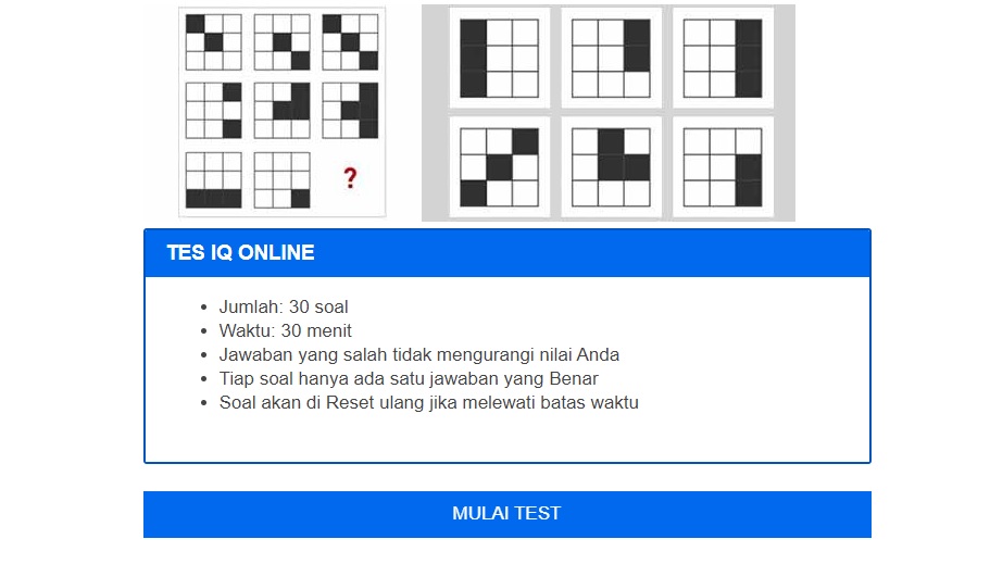 Uji Kecerdasan IQ Kamu di Sini, Klik Linknya dan Jawab 30 Soal dalam Waktu Terbatas