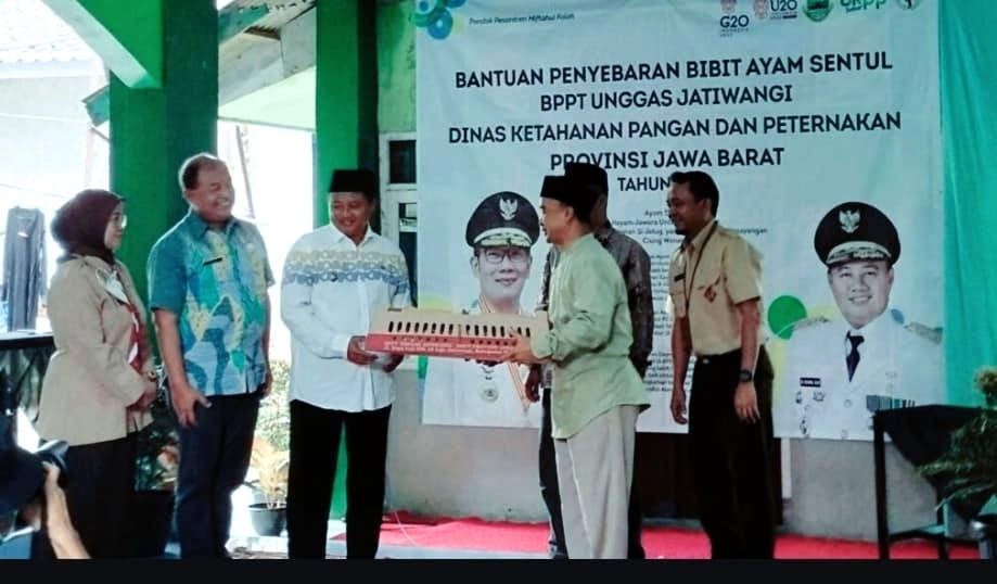 Berdayakan Santri Tani, Kang Uu Salurkan Bantuan 1.000 Bibit Ayam ke Pesantren