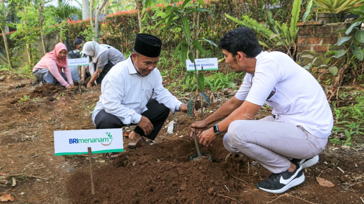 Dukung Pengurangan Emisi, BRI Menanam Proyeksikan Penyerapan Karbon Hingga 108 Ribu Ton CO2