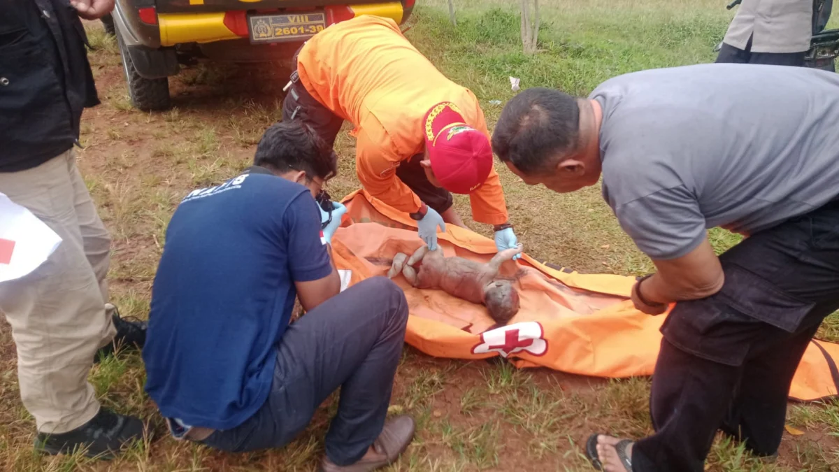 Jasad Bayi Di Temukan Mengambang Di Jatigede