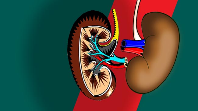 Terungkap! Bukan Parasetamol yang Sebabkan Gagal Ginjal pada Anak, Simak Penjelasan RSUP Dr Sardjito