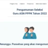 BKN Buka Suara Soal Mandeknya Pendaftaran ASN PPPK