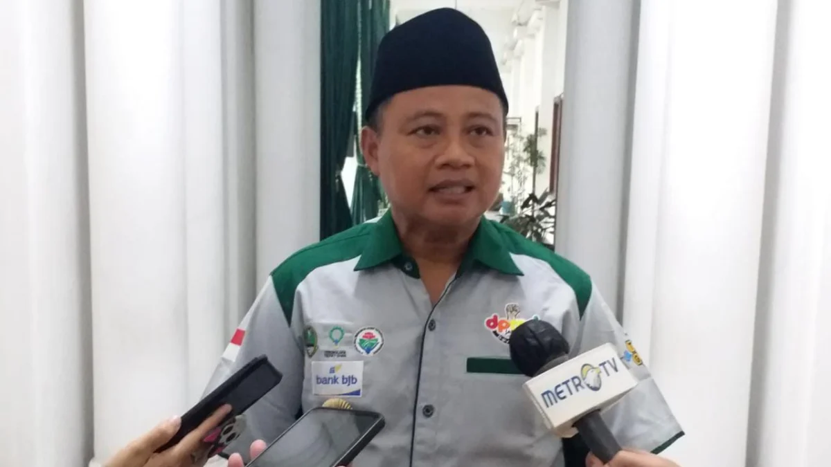 Kasus Gagal Ginjal Akut di Jabar Tinggi, Wagub: Jangan Selalu Menyalahkan Pemerintah