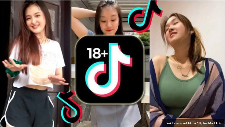 Apa itu TikTok 18 Plus? Temukan Jawabannya di sini