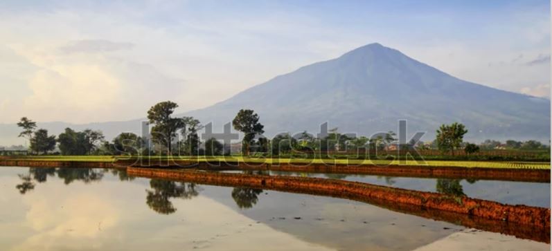 ilustrasi gunung shutterstock