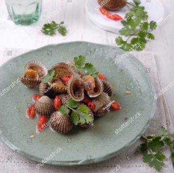 Kerang dara (shutterstock)